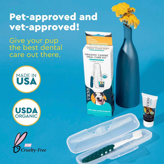 Radius Organic Canine Dental Kit | Adult