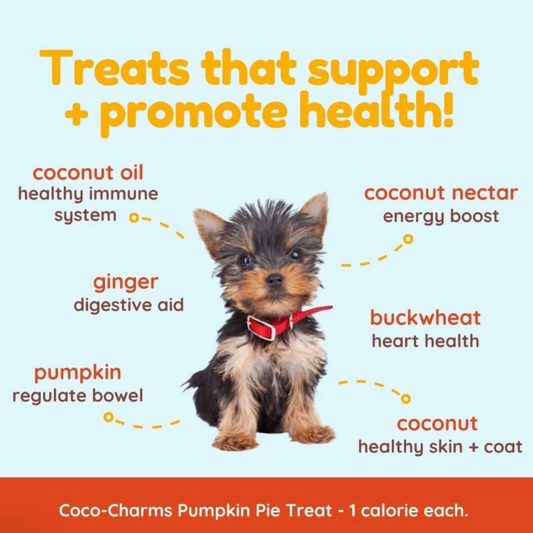 CocoTherapy Coco-Charms Training Treats | Pumpkin Pie