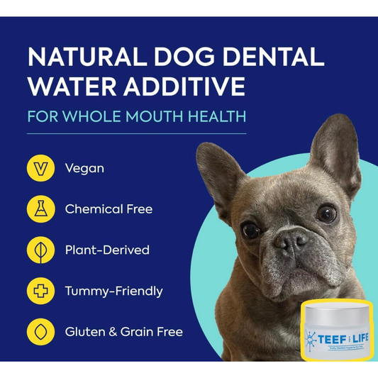 TEEF Protektin42 Dental Powder | Natural Prebiotic Dental Water Additive