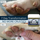Organic Healing Balm | Nose + Paw Pads