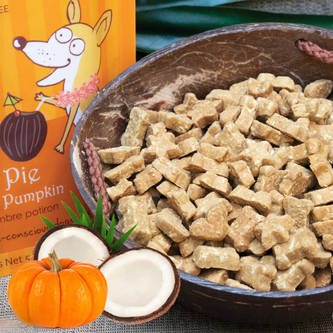 CocoTherapy Coco-Charms Training Treats | Pumpkin Pie