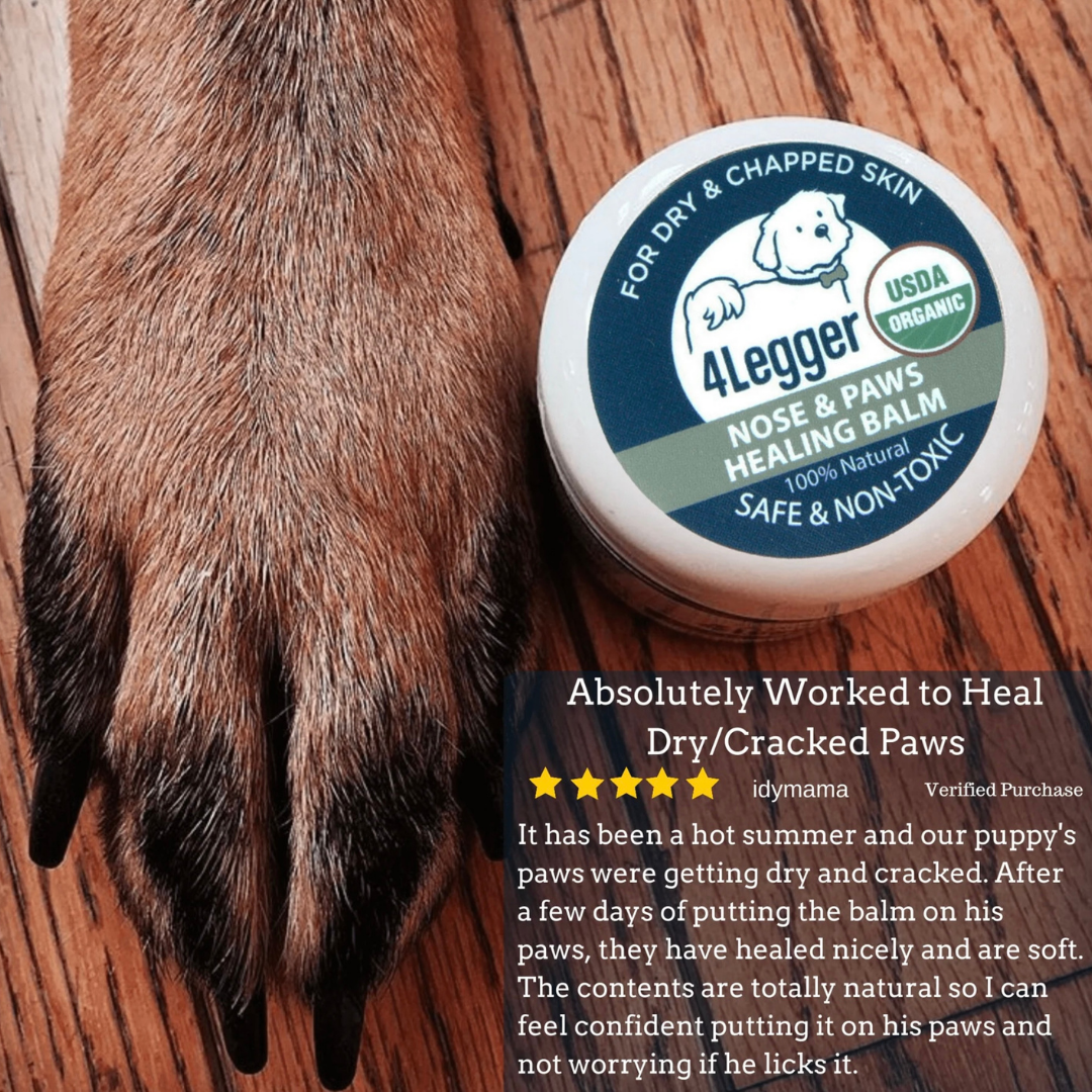 4-Legger Organic Healing Balm | Nose & Paw Pads