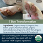 Organic Healing Balm | Nose + Paw Pads
