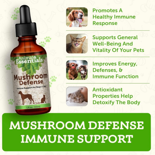 Animal Essentials Mushroom Defense | Natural Immune Support