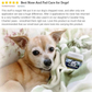 Organic Healing Balm | Nose + Paw Pads