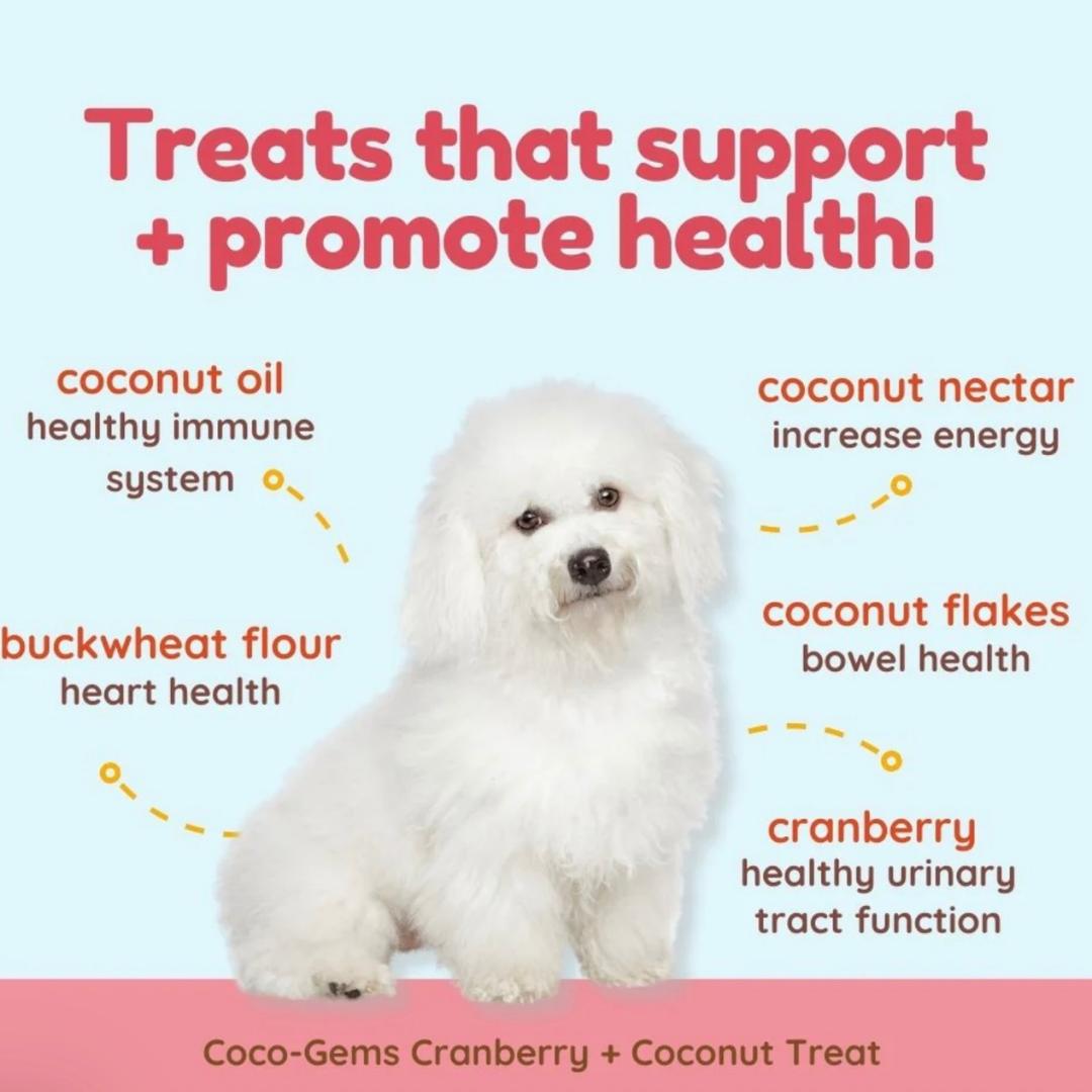 Cocotherapy Coco-Gems Training Treats | Cranberry