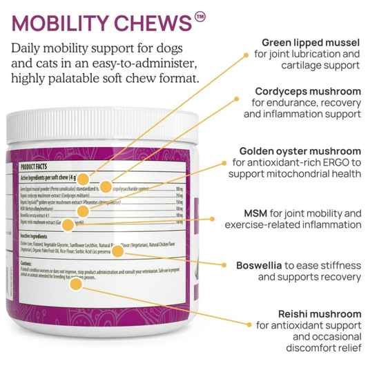 Real Mushrooms Mobility Chews