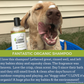 4-Legger Organic Shampoo | Lemongrass + Aloe