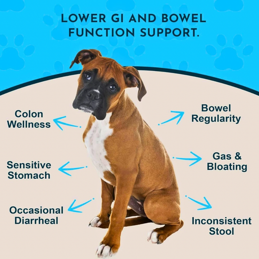 Animal Essentials Colon Rescue Powder | Soothing Digestive Support