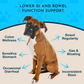 Animal Essentials Colon Rescue Powder | Soothing Digestive Support