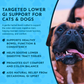 Animal Essentials Colon Rescue Powder | Soothing Digestive Support