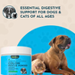 Animal Essentials Colon Rescue Powder | Soothing Digestive Support