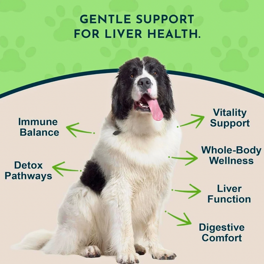 Animal Essentials Liver Defense | Natural Liver Support