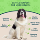 Animal Essentials Liver Defense | Natural Liver Support