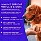 Animal Essentials Super Immune | Comprehensive Immune + Wellness Boost