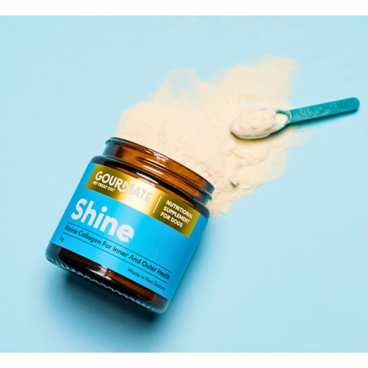 Gourmate Shine | Marine Collagen