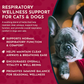 Animal Essentials Breathe EZ | Natural Respiratory + Allergy Relief