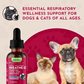 Animal Essentials Breathe EZ | Natural Respiratory + Allergy Relief