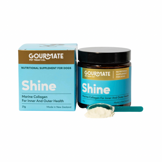 Gourmate Shine | Marine Collagen
