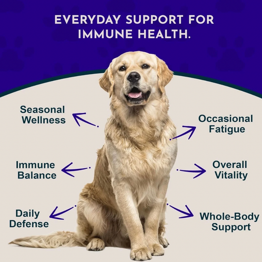 Animal Essentials Super Immune | Comprehensive Immune + Wellness Boost