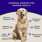 Animal Essentials Super Immune | Comprehensive Immune + Wellness Boost