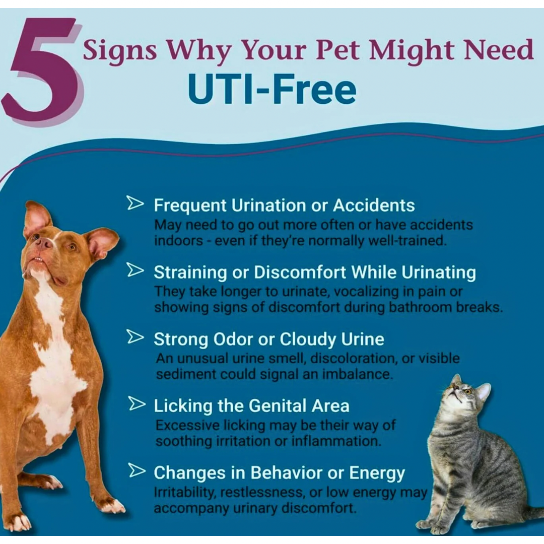 Pet Alive UTI-Free | Homeopathic Urinary Tract Support
