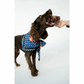 Winnie Lou Bison Trachea Chew