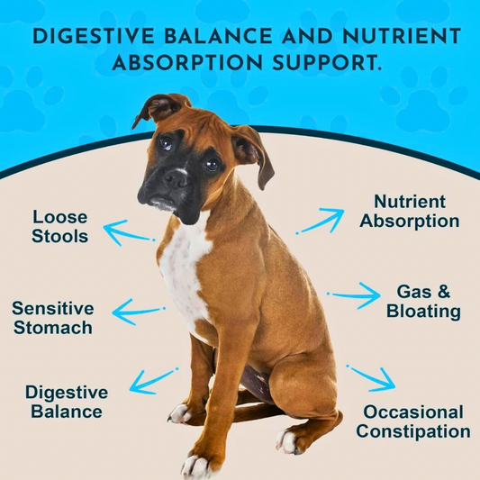Animal Essentials Plant Digestive Enzymes + Probiotics