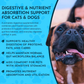 Animal Essentials Plant Digestive Enzymes + Probiotics