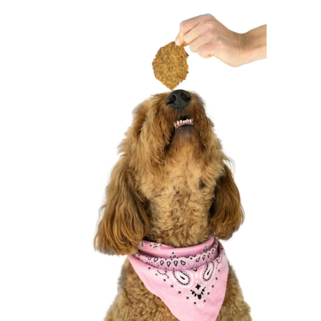 Winnie Lou Lamb + Sweet Potato Crisps