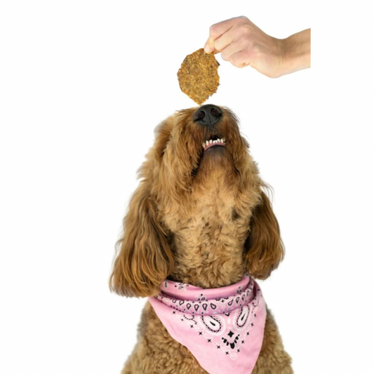 Winnie Lou Lamb + Sweet Potato Crisps