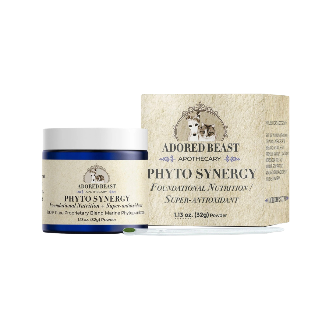 Adored Beast Phyto Synergy | Super Antioxidant