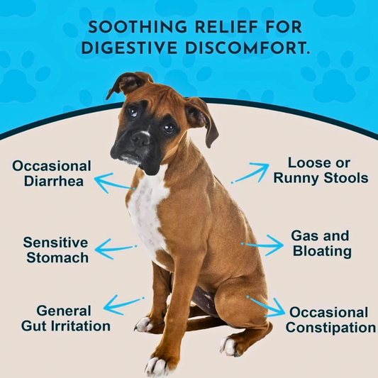 Animal Essentials Slippery Elm | Natural Digestive Soother