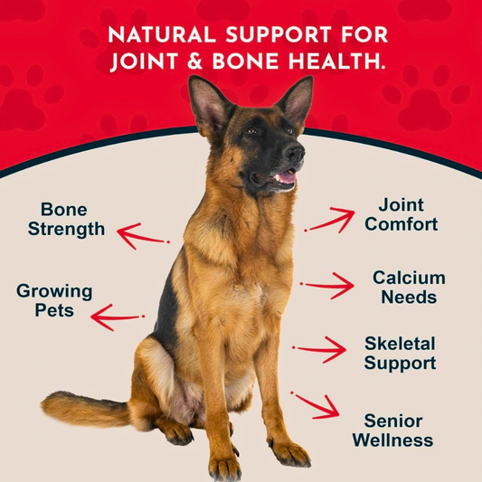 Animal Essentials Seaweed Calcium Powder | Strong Bones + Healthy Joints