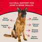 Animal Essentials Seaweed Calcium Powder | Strong Bones + Healthy Joints