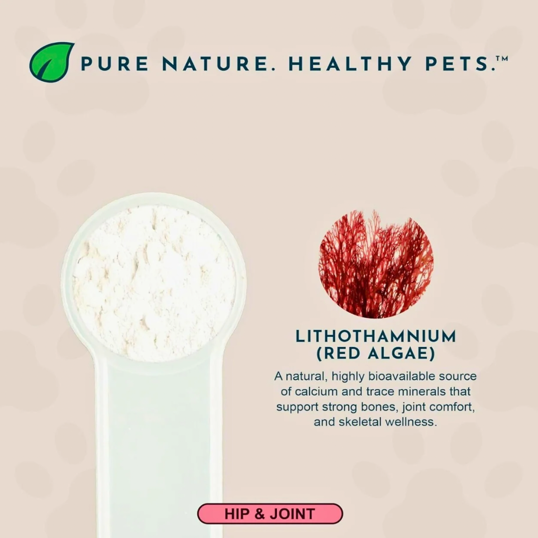 Animal Essentials Seaweed Calcium Powder | Strong Bones + Healthy Joints