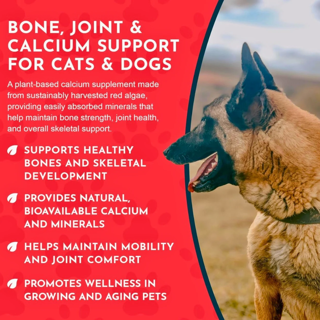 Animal Essentials Seaweed Calcium Powder | Strong Bones + Healthy Joints