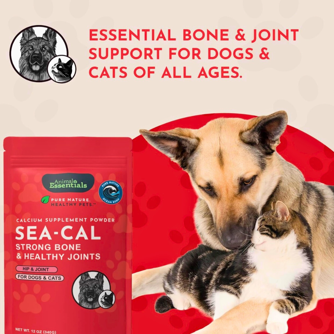 Animal Essentials Seaweed Calcium Powder | Strong Bones + Healthy Joints