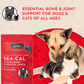 Animal Essentials Seaweed Calcium Powder | Strong Bones + Healthy Joints