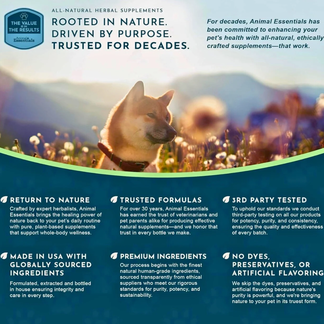 Animal Essentials Seaweed Calcium Powder | Strong Bones + Healthy Joints