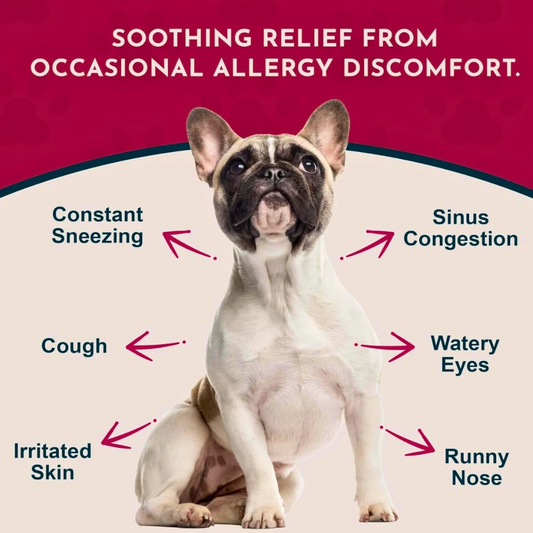 Animal Essentials Seasonal Allergy | Natural Allergy Relief