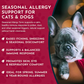 Animal Essentials Seasonal Allergy | Natural Allergy Relief