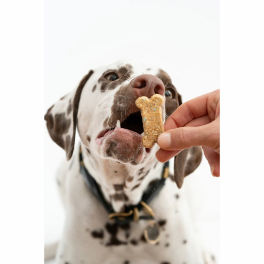 Winnie Lou Celebration Cookie Bones