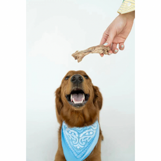 Winnie Lou Bison Tendon Chews | Natural Chew for Joint & Dental Health