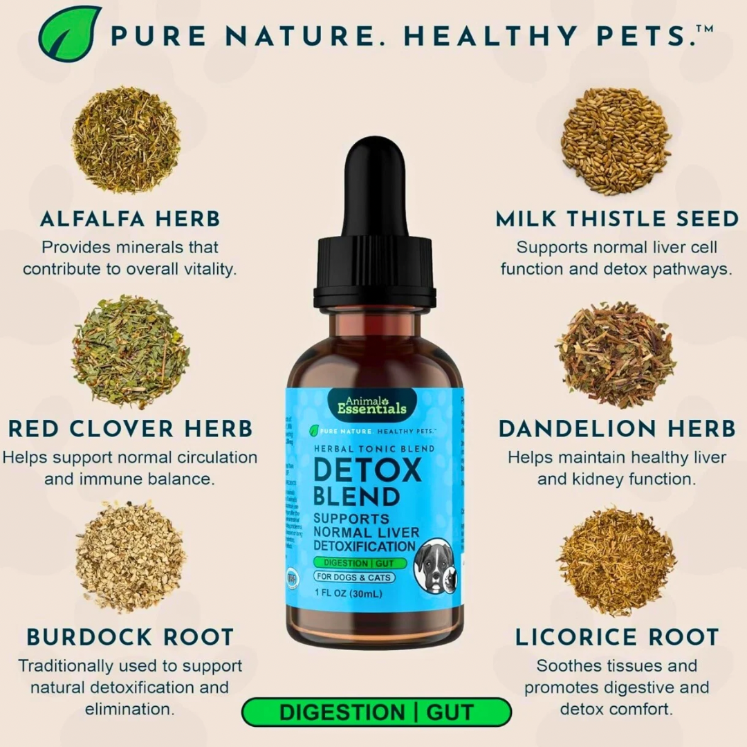 Animal Essentials Detox Blend | Herbal Liver + Kidney Cleanse