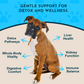 Animal Essentials Detox Blend | Herbal Liver + Kidney Cleanse