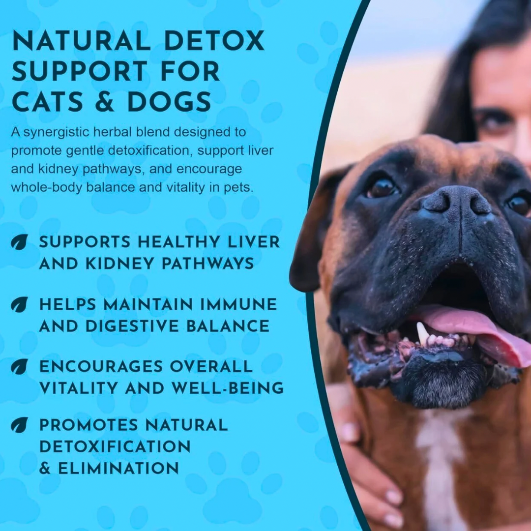Animal Essentials Detox Blend | Herbal Liver + Kidney Cleanse
