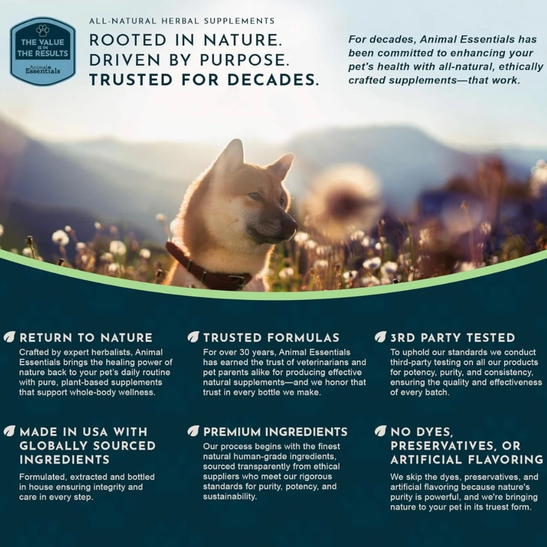 Animal Essentials Detox Blend | Herbal Liver + Kidney Cleanse