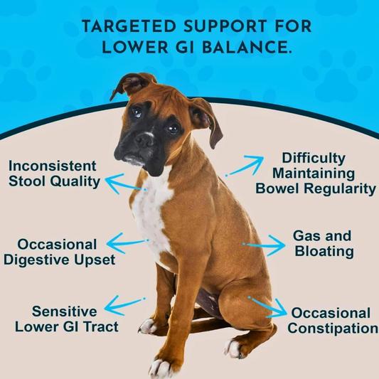 Animal Essentials Colon Rescue | Soothing Digestive Support