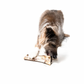 Winnie Lou Bison Marrow Bone - 6-8”